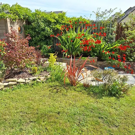 Lovely Twin Bedroom In Kerry Listowel